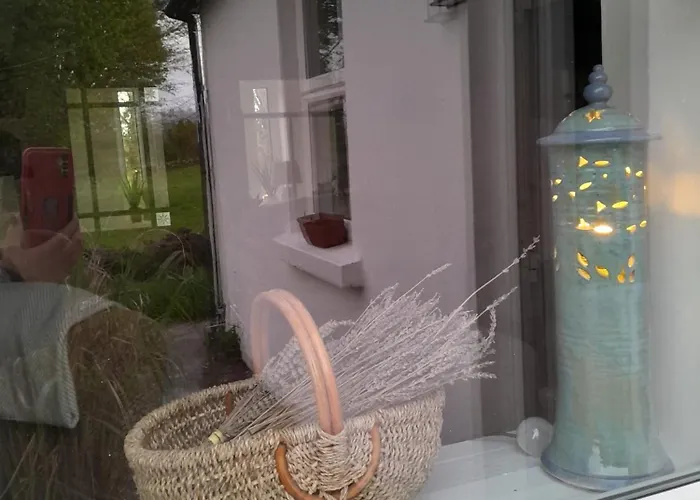 Tir Na Ciuine Фоксфорд