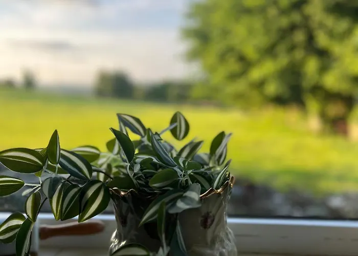 Tir Na Ciuine Дом отдыха Фоксфорд